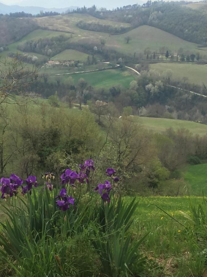 Green B&B Urbino Ca Del Vento エクステリア 写真